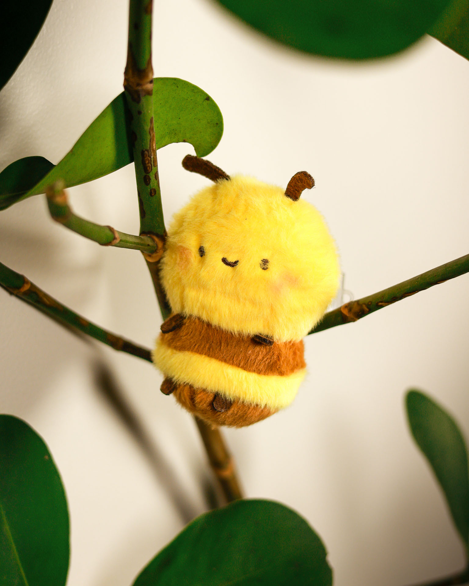 Hey Honey!