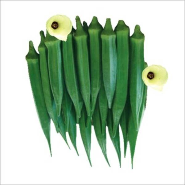 Okra - Damini F1