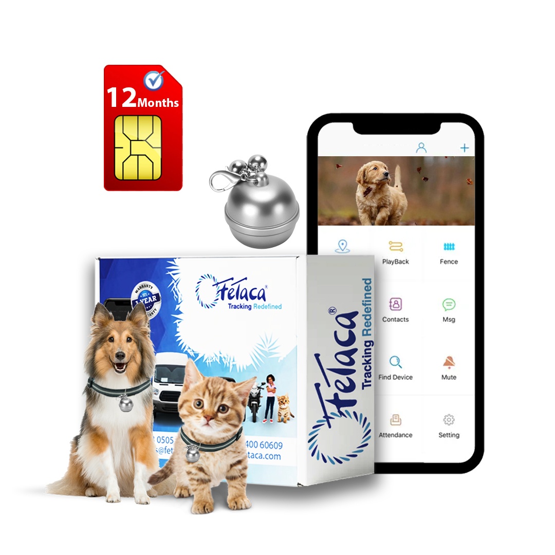 FeTaca® Smart Bell-Shaped 2G Pet GPS Tracker for Dogs, Cats & More – Live Tracking, Mobile Alerts & Activity Monitoring (Sliver)