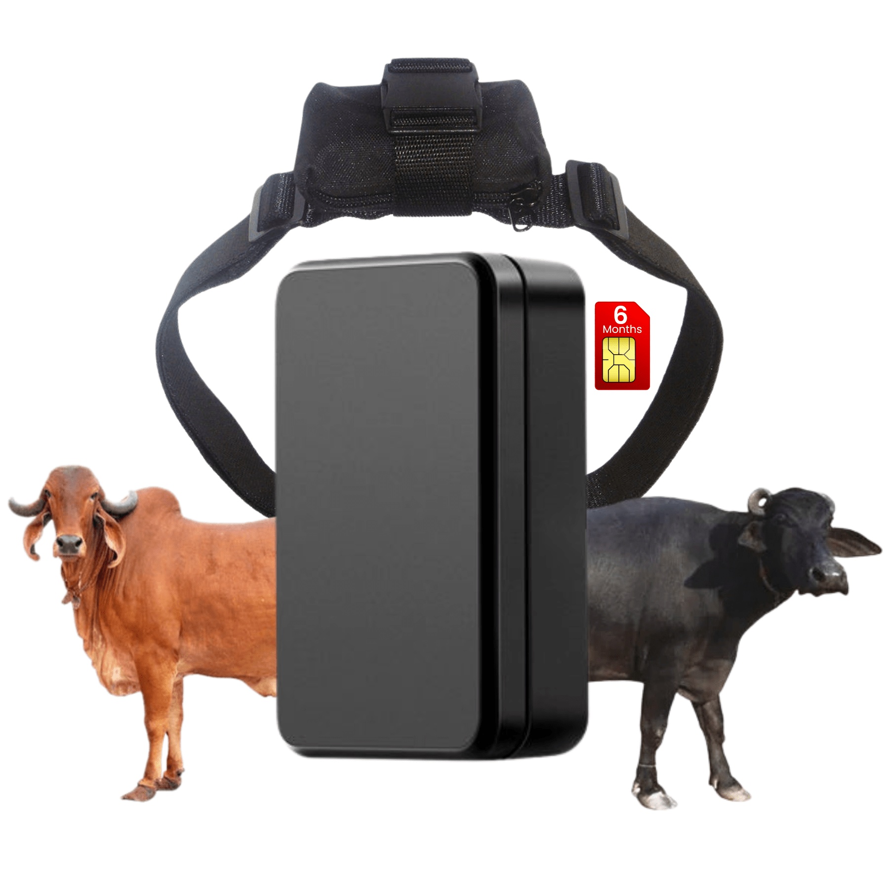 fetaca Waterproof Livestock GPS Tracker | Real-Time, 6000mAh Battery, Free 12M SIM GPS Device  (Black)