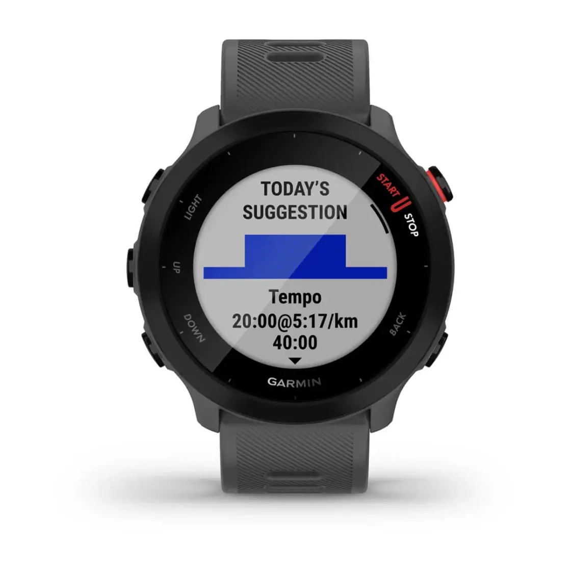 Forerunner® 55 Monterra Grey
