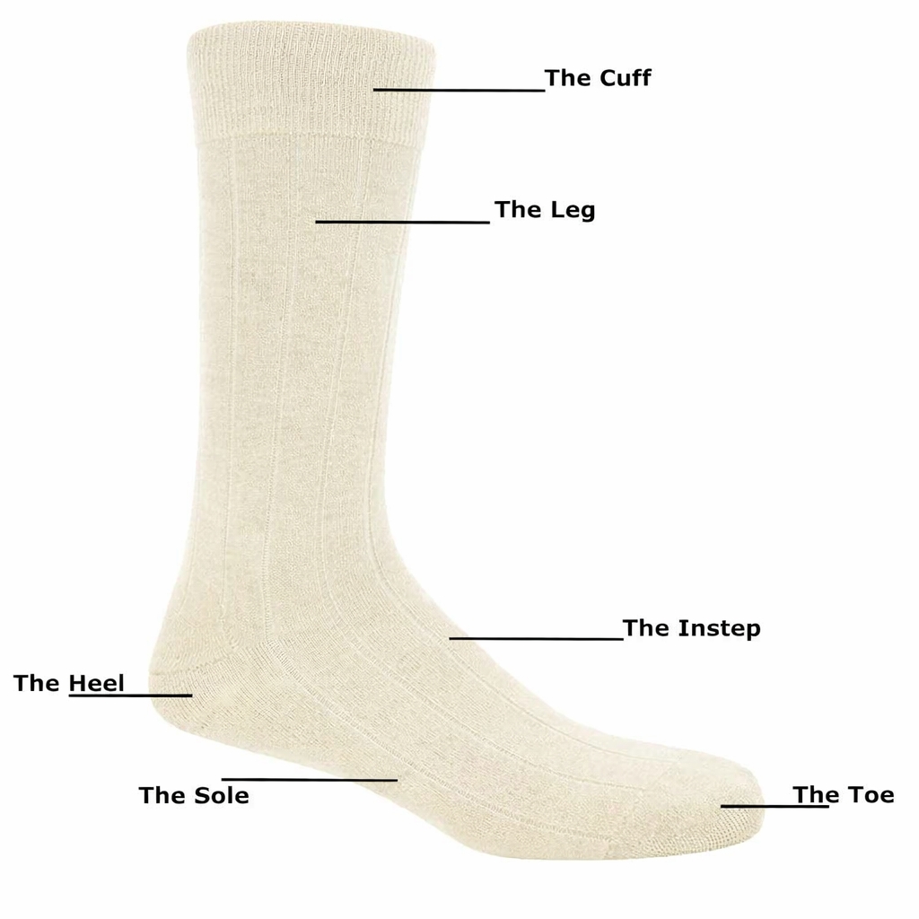 socks anatomy