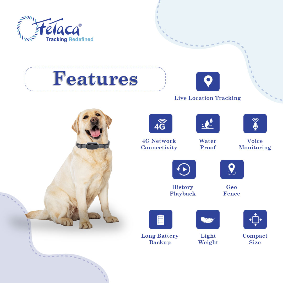 FeTaca® New Smart 4G Waterproof Pet GPS Tracker