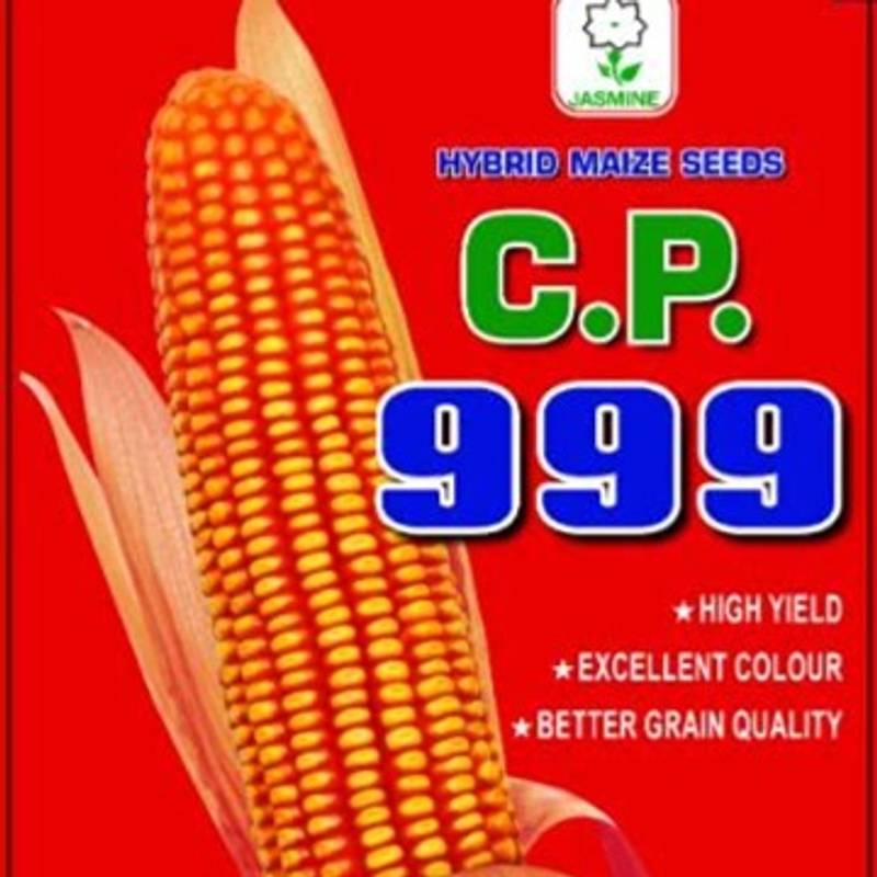 Maize 999 Hybrid - CP Seeds, Makka (3.5KG)