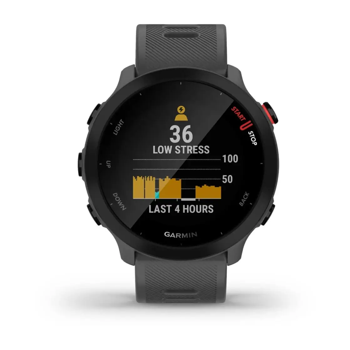 Forerunner® 55 Monterra Grey