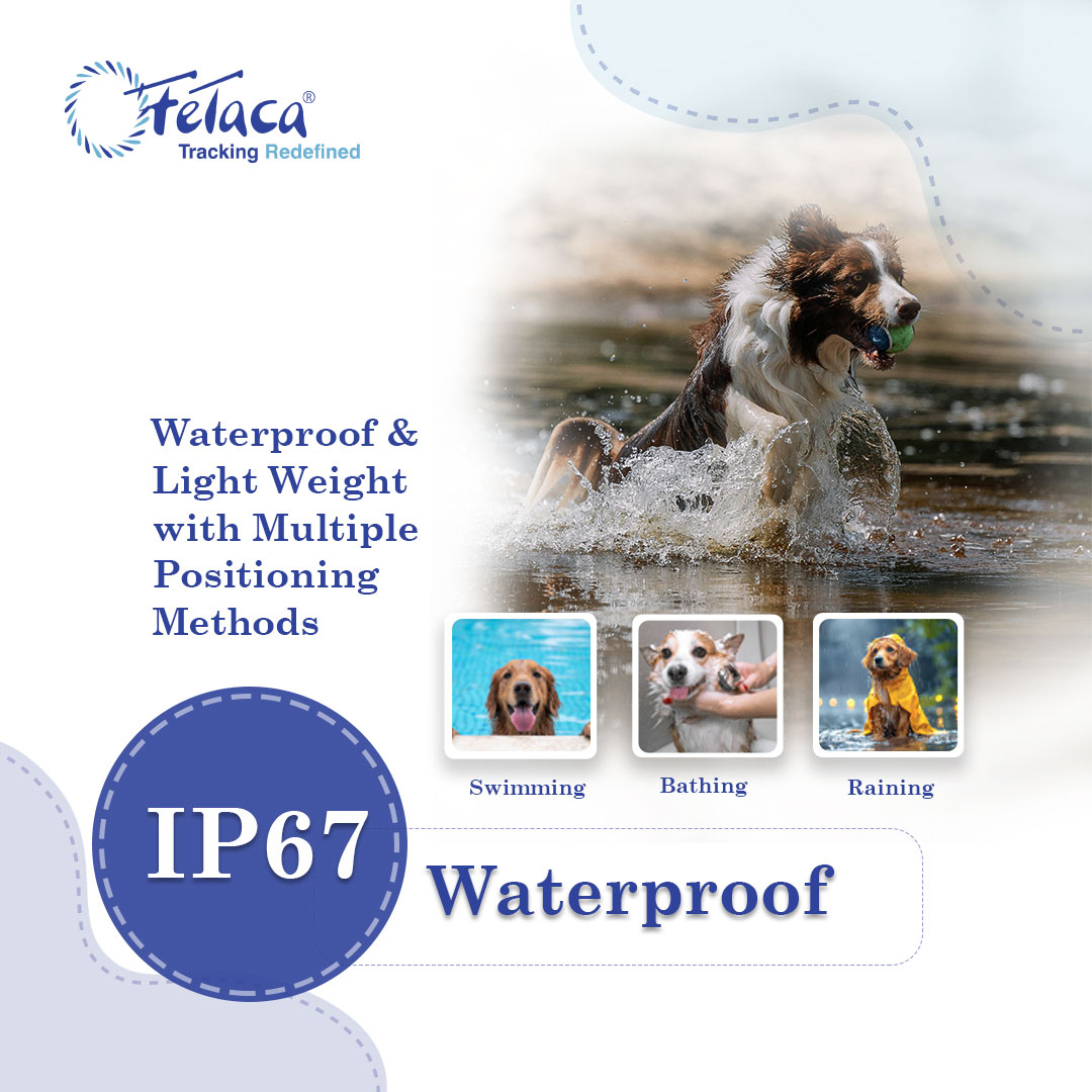 FeTaca® New Smart 4G Waterproof Pet GPS Tracker