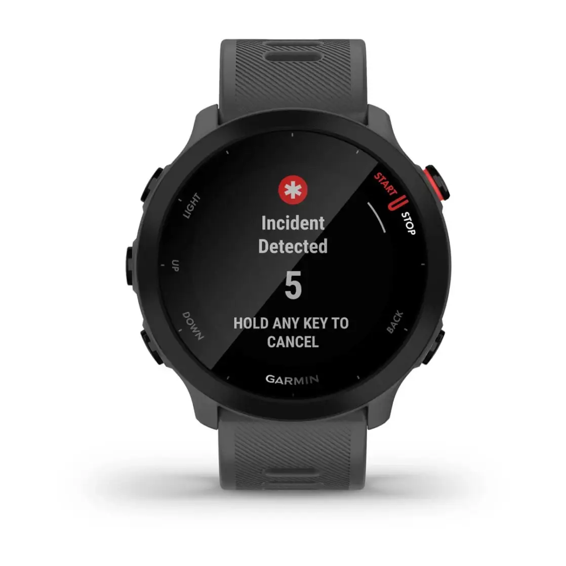 Forerunner® 55 Monterra Grey