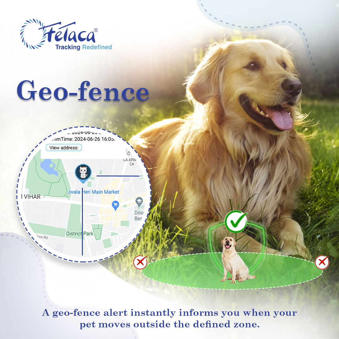 FeTaca® New Smart 4G Waterproof Pet GPS Tracker