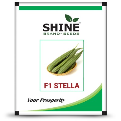 Ridge Gourd - Stella F1