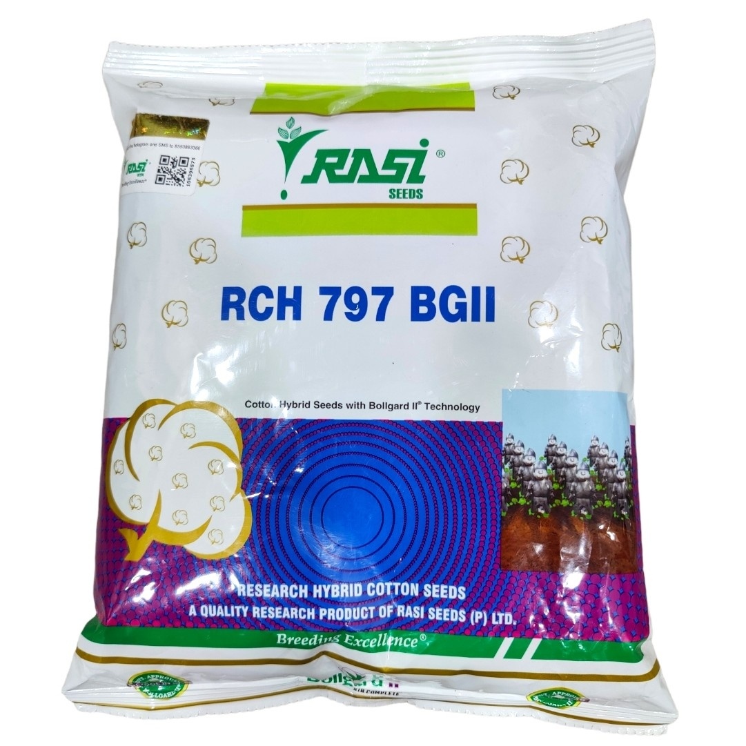 Rasi RCH 797 ( Cotton seeds ) BG2