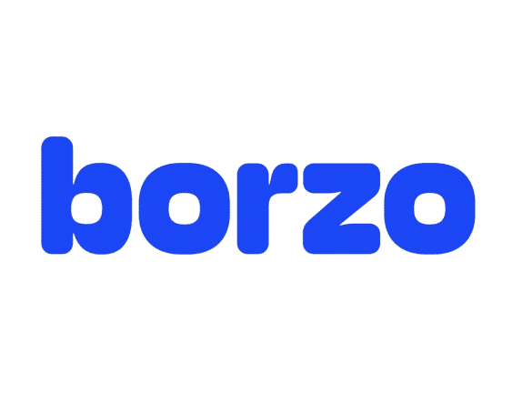 borzo POS software integration
