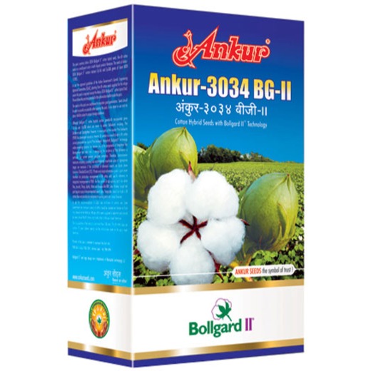 Ankur 3034 BG2