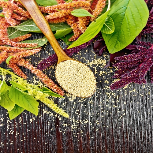 Amaranth