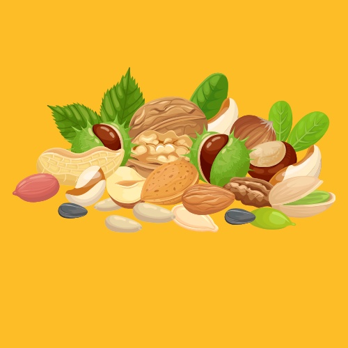 Dry fruits, Nuts & seeds