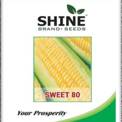 Sweet Corn - Sweet 80