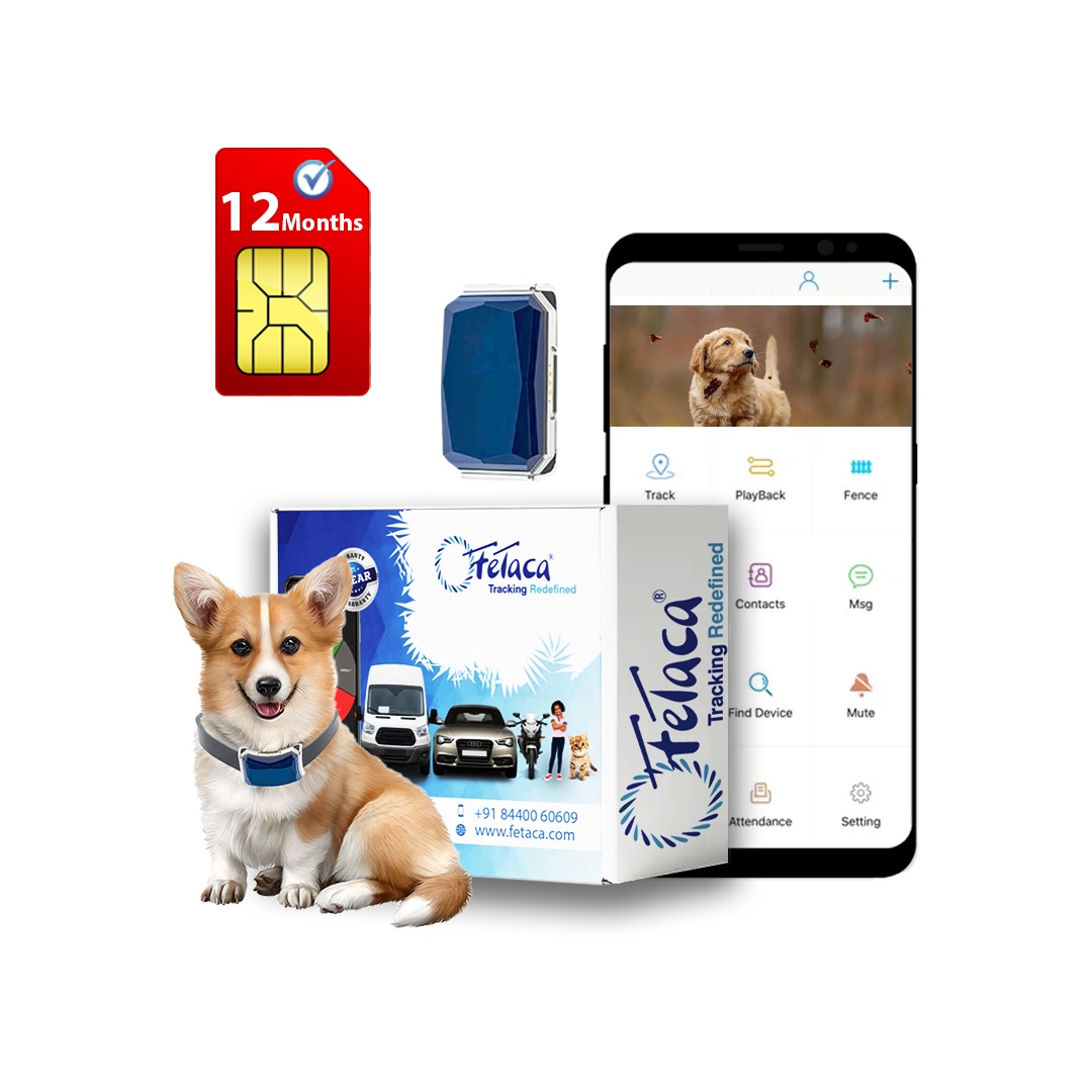 FeTaca Smart GPS Collars for Pet Safety: Dogs, Big Cats, and More with 1 Year Advanced Tracking Platform & SIM Data Subscription