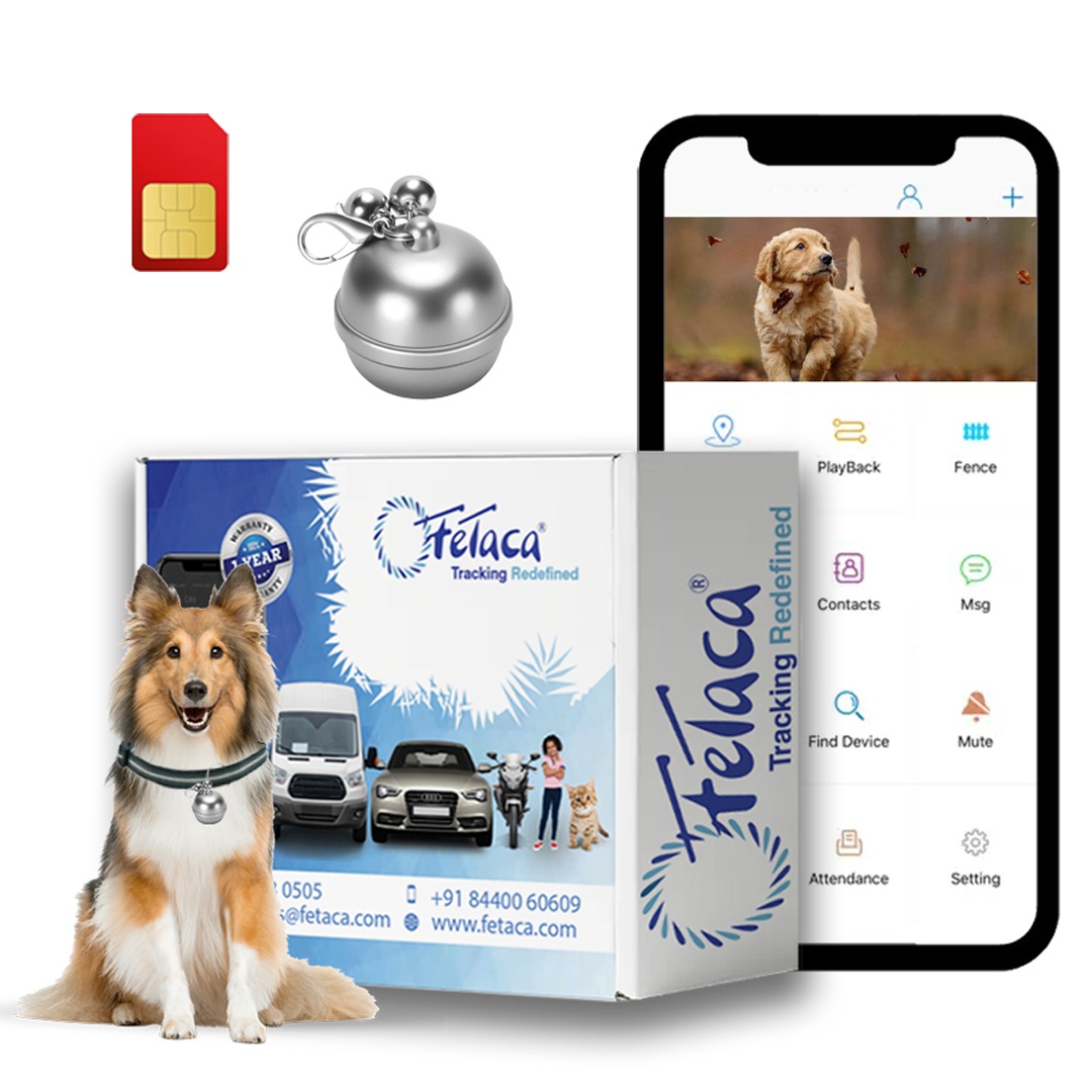 FeTaca® Smart Bell-Shaped 2G Pet GPS Tracker for Dogs, Cats & More – Live Tracking, Mobile Alerts & Activity Monitoring (Sliver)