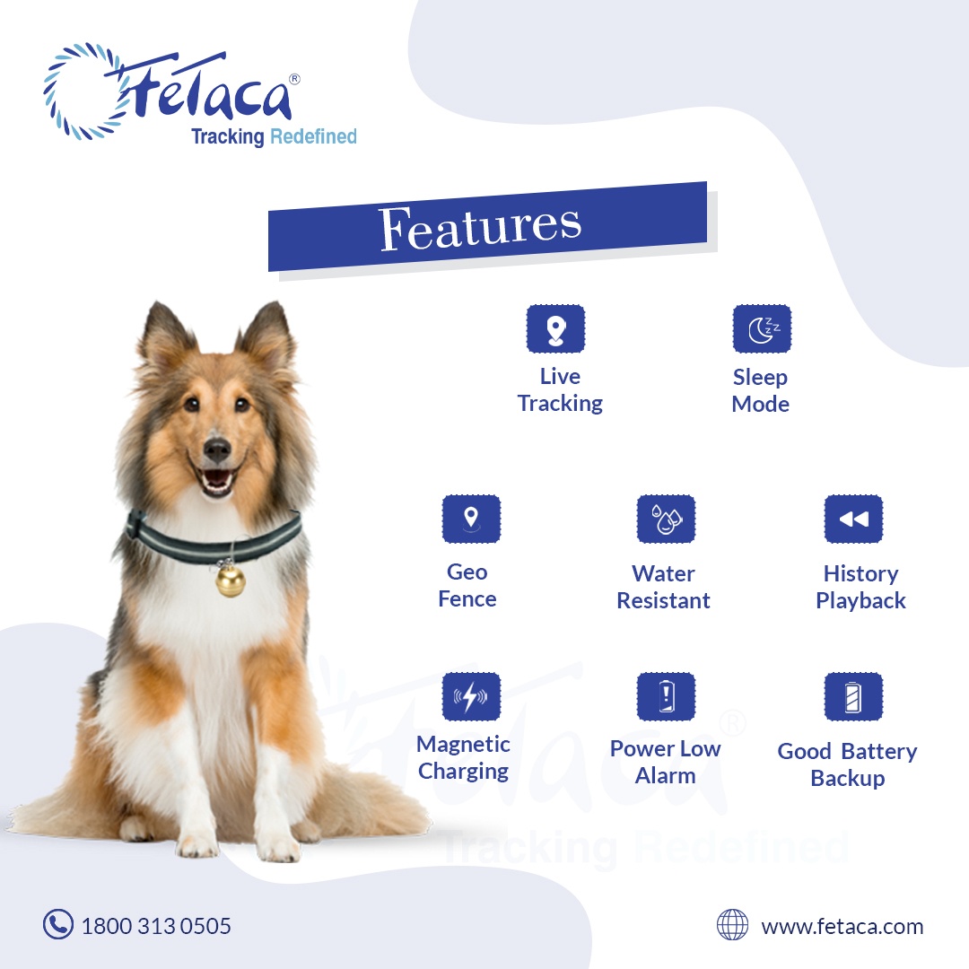 FeTaca® Smart Bell-Shaped 2G Pet GPS Tracker for Dogs, Cats & More – Live Tracking, Mobile Alerts & Activity Monitoring (Gold)