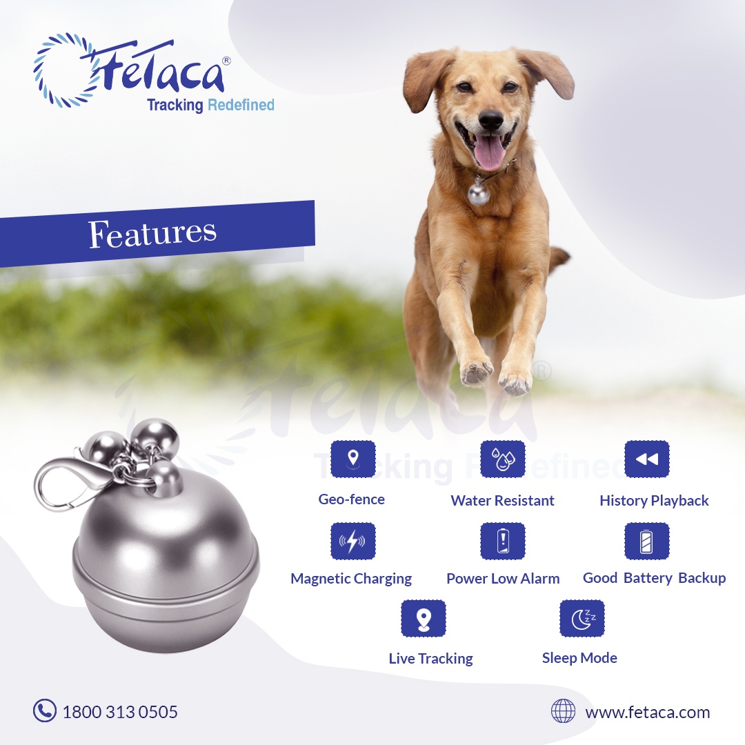 FeTaca® Smart Bell-Shaped 2G Pet GPS Tracker for Dogs, Cats & More – Live Tracking, Mobile Alerts & Activity Monitoring (Sliver)