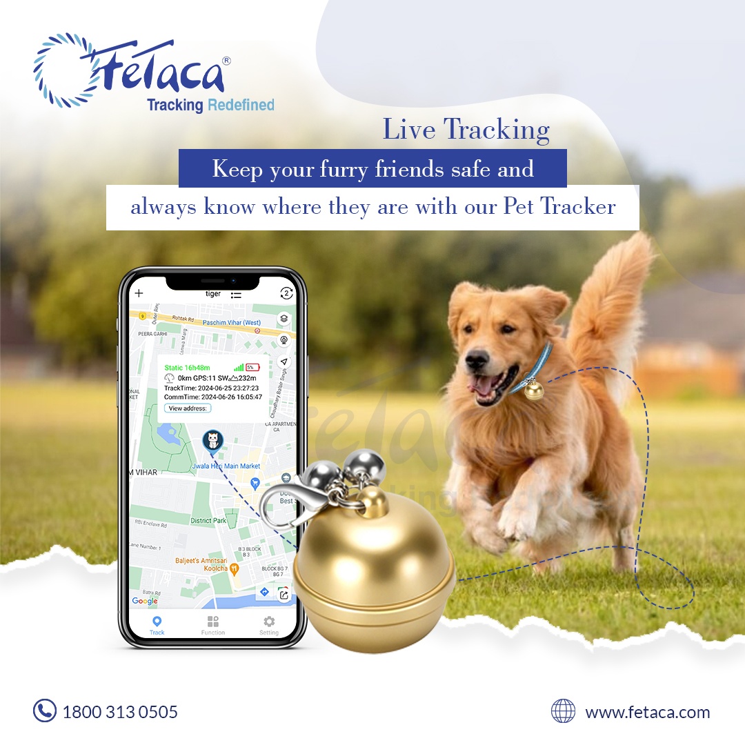 FeTaca® Smart Bell-Shaped 2G Pet GPS Tracker for Dogs, Cats & More – Live Tracking, Mobile Alerts & Activity Monitoring (Gold)