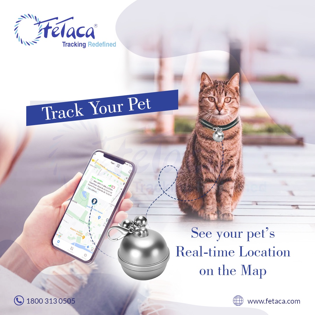 FeTaca® Smart Bell-Shaped 2G Pet GPS Tracker for Dogs, Cats & More – Live Tracking, Mobile Alerts & Activity Monitoring (Sliver)