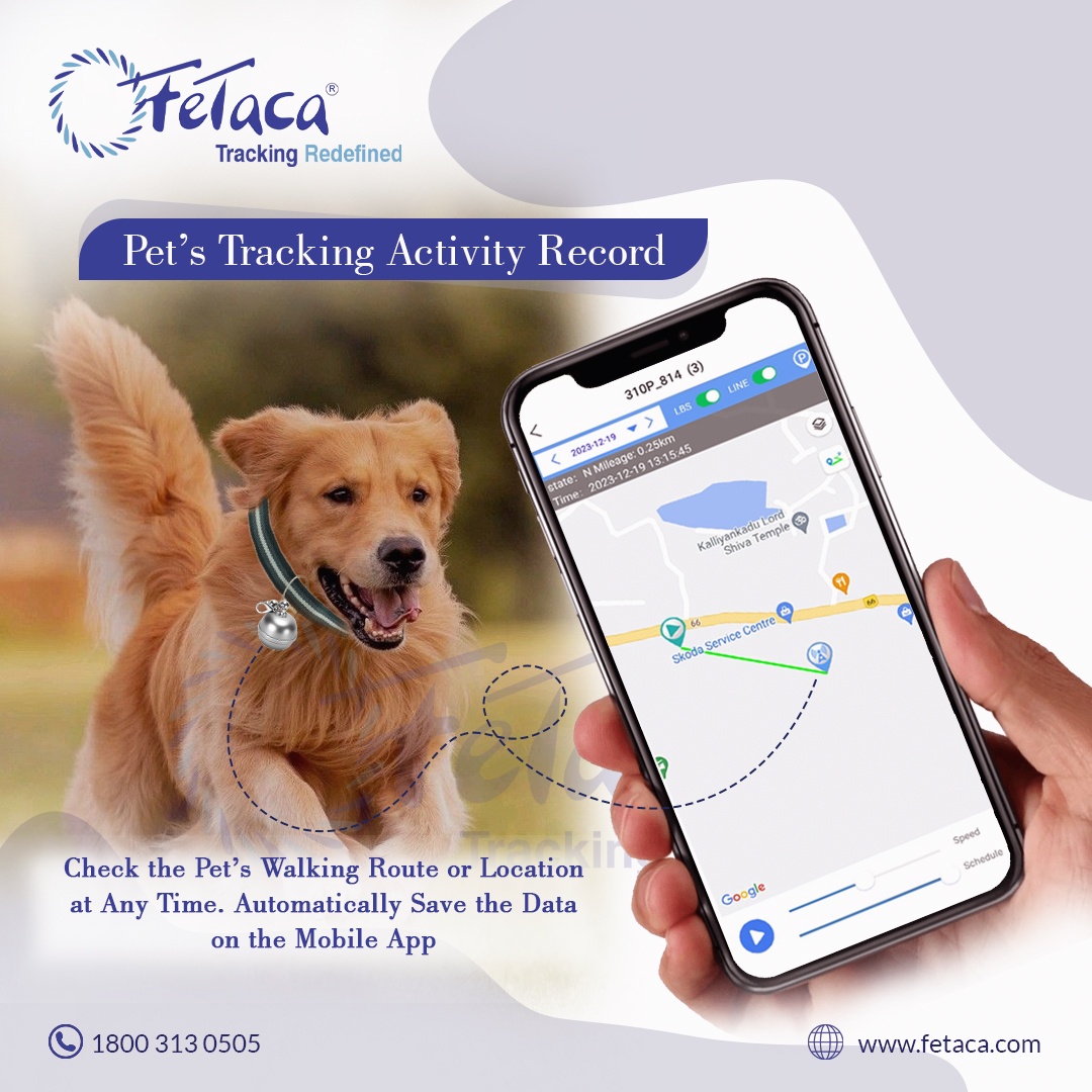 FeTaca® Smart Bell-Shaped 2G Pet GPS Tracker for Dogs, Cats & More – Live Tracking, Mobile Alerts & Activity Monitoring (Sliver)