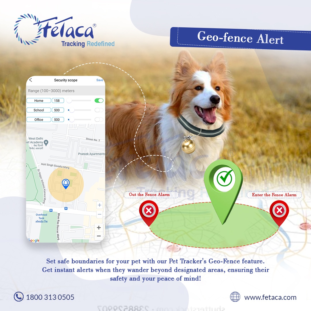 FeTaca® Smart Bell-Shaped 2G Pet GPS Tracker for Dogs, Cats & More – Live Tracking, Mobile Alerts & Activity Monitoring (Gold)