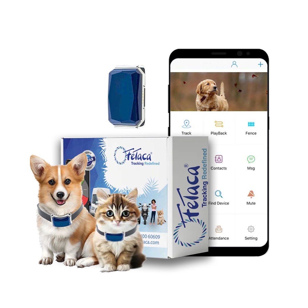 FeTaca Smart GPS Tracker Collar for Pet Safety: Dogs, Cats, and More with Advanced Tracking Platform and SIM Card Subscription Required