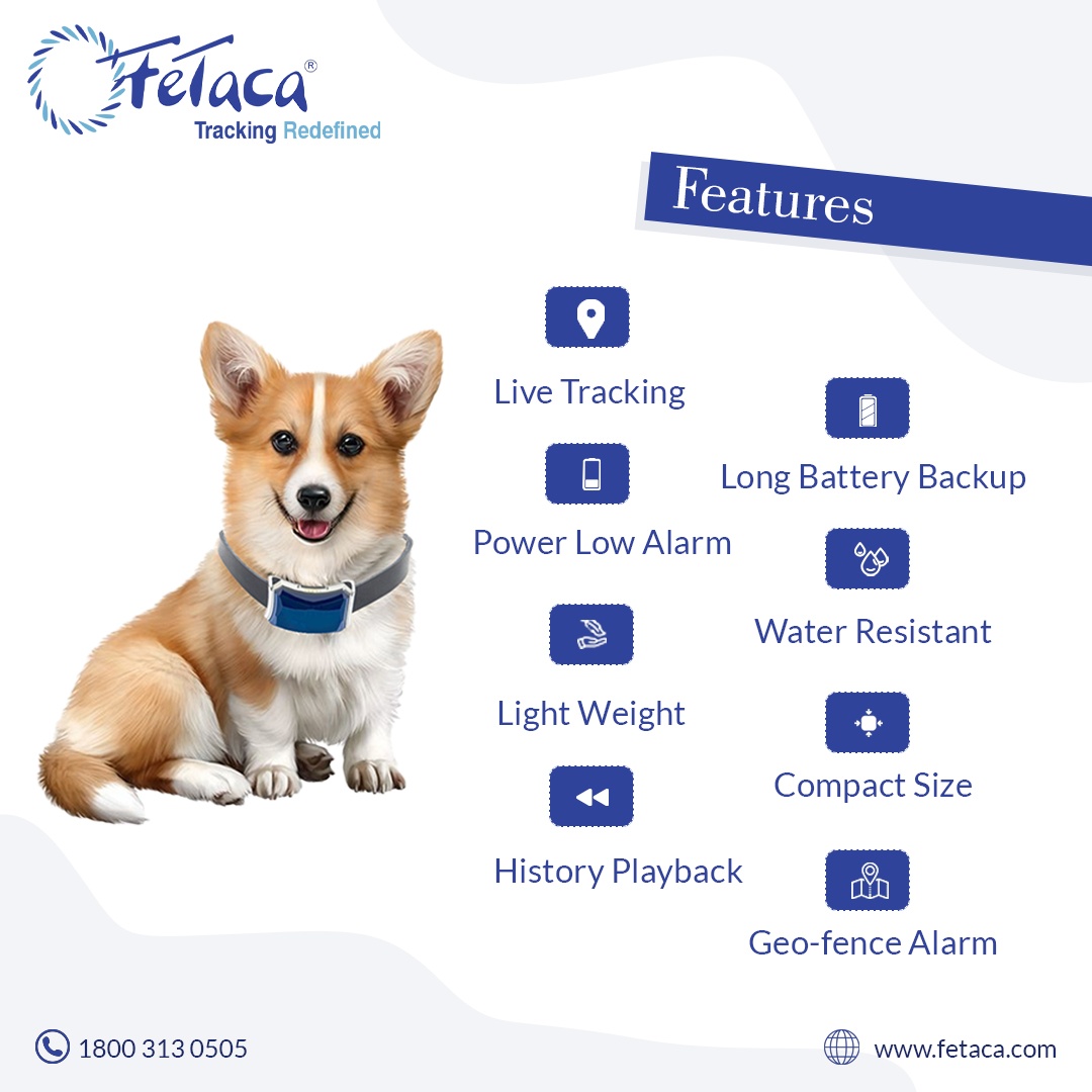 FeTaca Smart GPS Collars for Pet Safety: Dogs, Big Cats, and More with 1 Year Advanced Tracking Platform & SIM Data Subscription