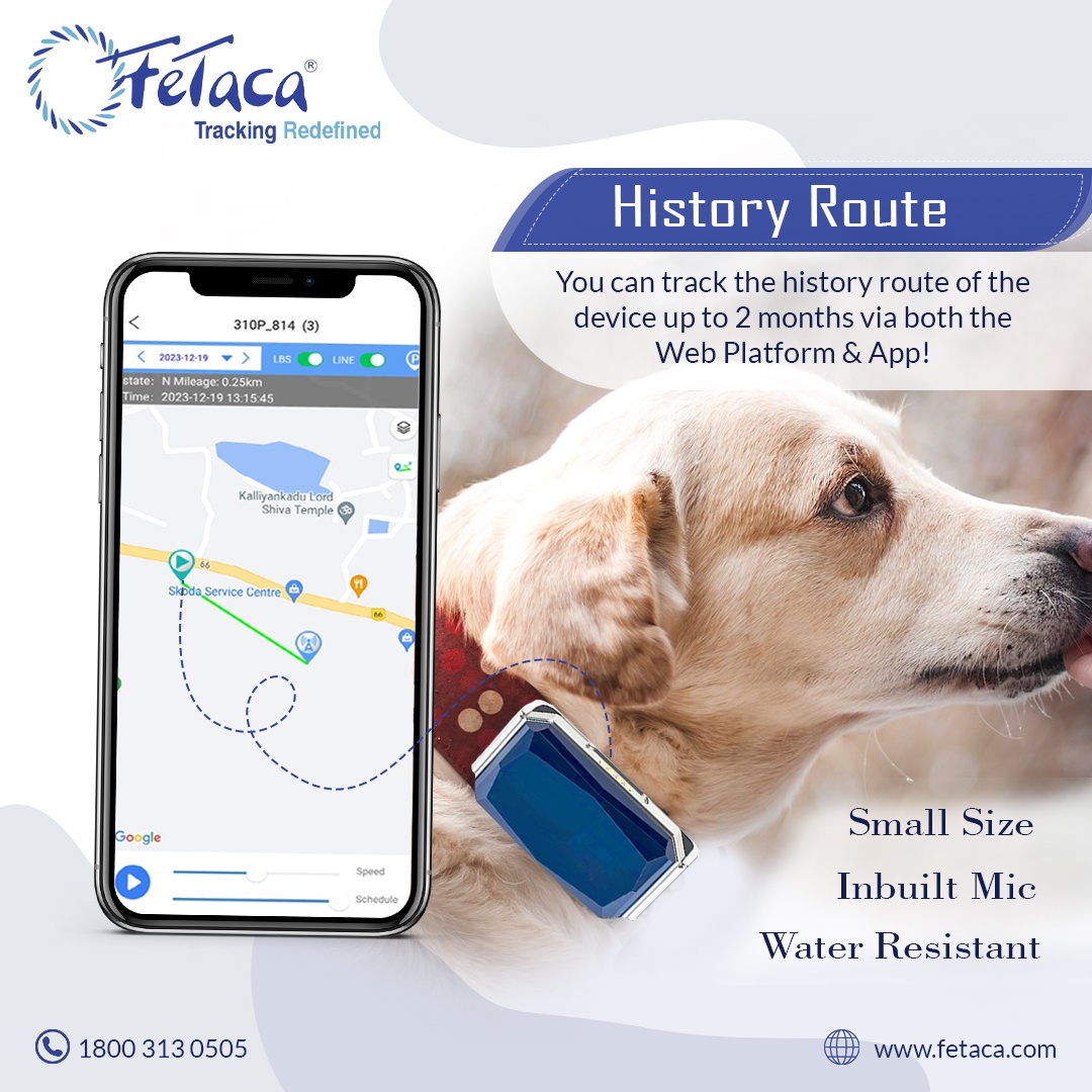 FeTaca Smart GPS Collars for Pet Safety: Dogs, Big Cats, and More with 1 Year Advanced Tracking Platform & SIM Data Subscription