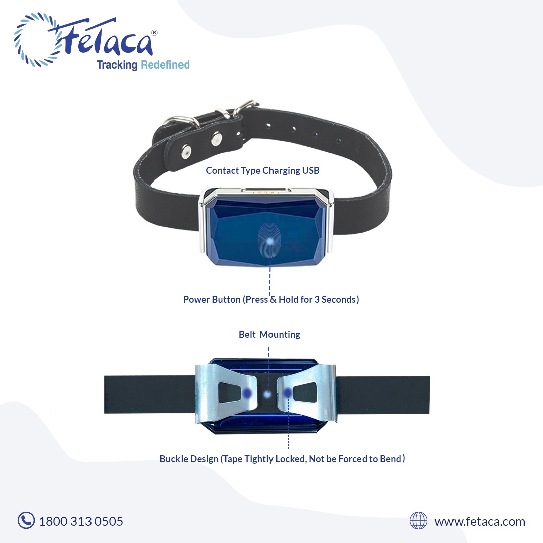 FeTaca Smart GPS Collars for Pet Safety: Dogs, Big Cats, and More with 1 Year Advanced Tracking Platform & SIM Data Subscription