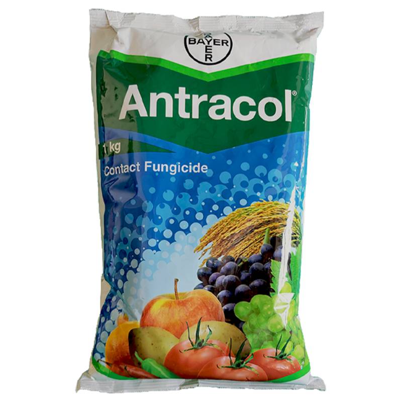 Bayer Antracol Fungicide (Propineb 70% WP)
