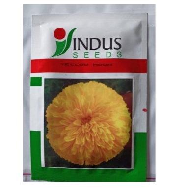 Bijlee Yellow Moon - Indus Seeds, Genda