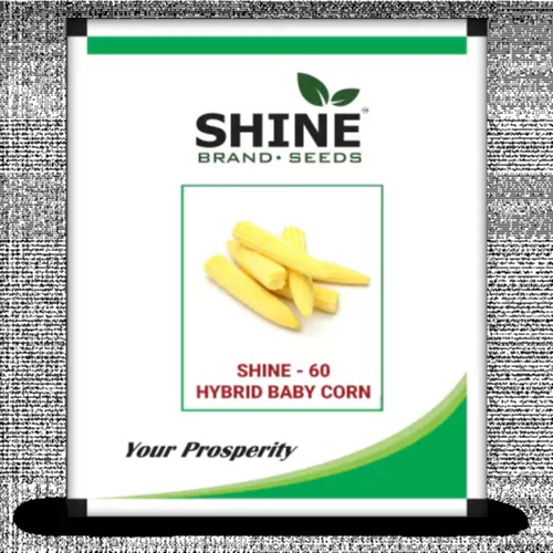 Baby Corn Shine 60-500gm