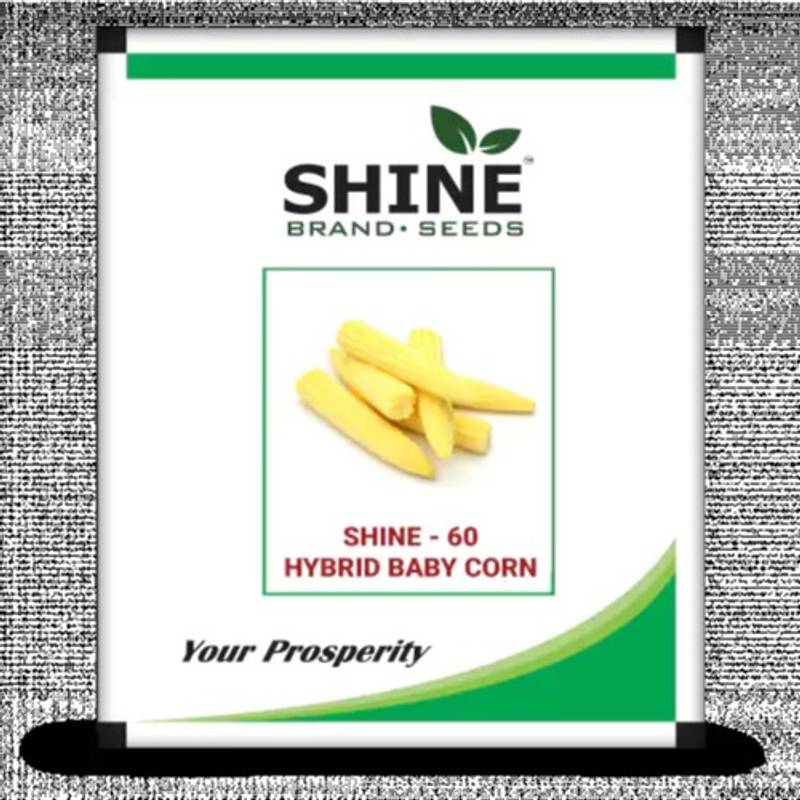 Baby Corn Shine 60-500gm