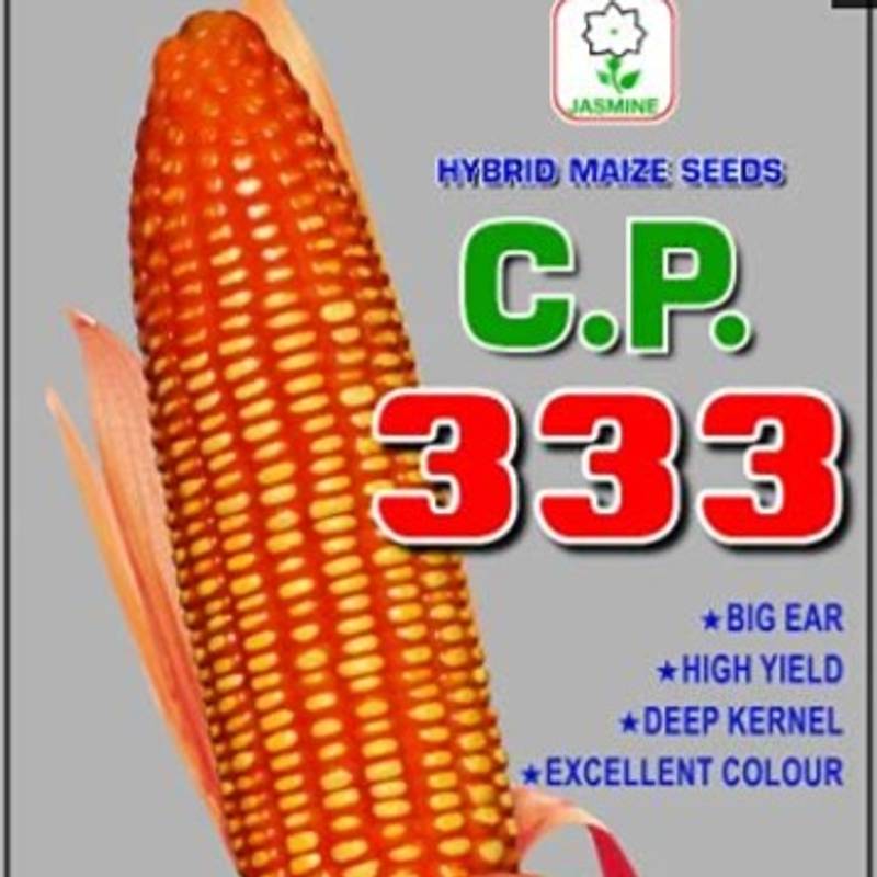 CP_MAIZE_333_3.6KG