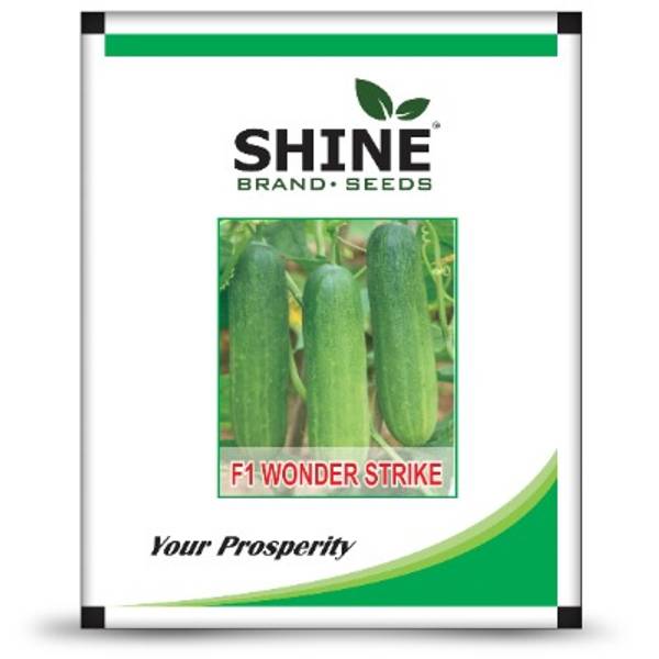 Cucumber - Wonder Strike F1