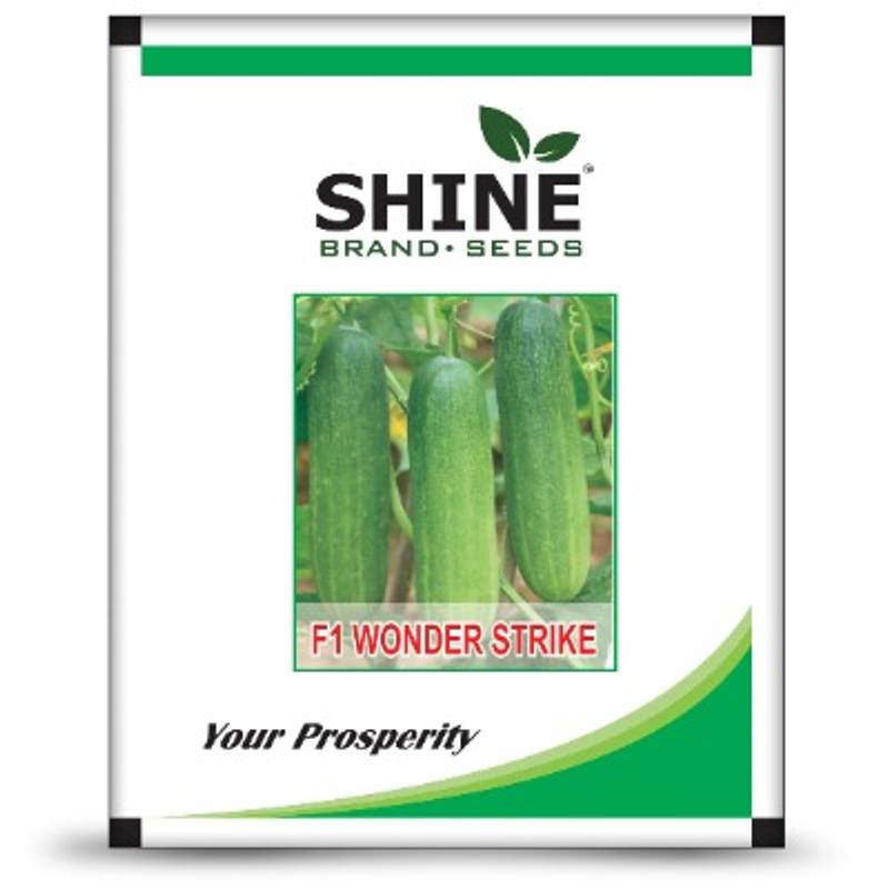 Cucumber - Wonder Strike F1
