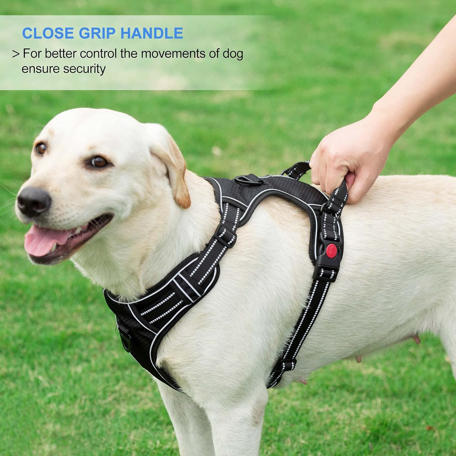 Qpets® 1.5M Dog Training Leash, Durable Light Reflecting Dog Leash Dog Vest Dog Harness for Large Dog, Adjustable Dog Vest Harness with Quick Release Buckle (L)