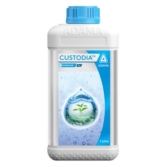 Adama Custodia Fungicide (Azoxystrobin 11% + Tebuconazole 18.3% SC)