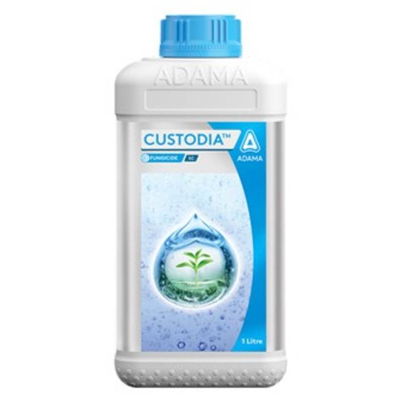 Adama Custodia Fungicide (Azoxystrobin 11% + Tebuconazole 18.3% SC)