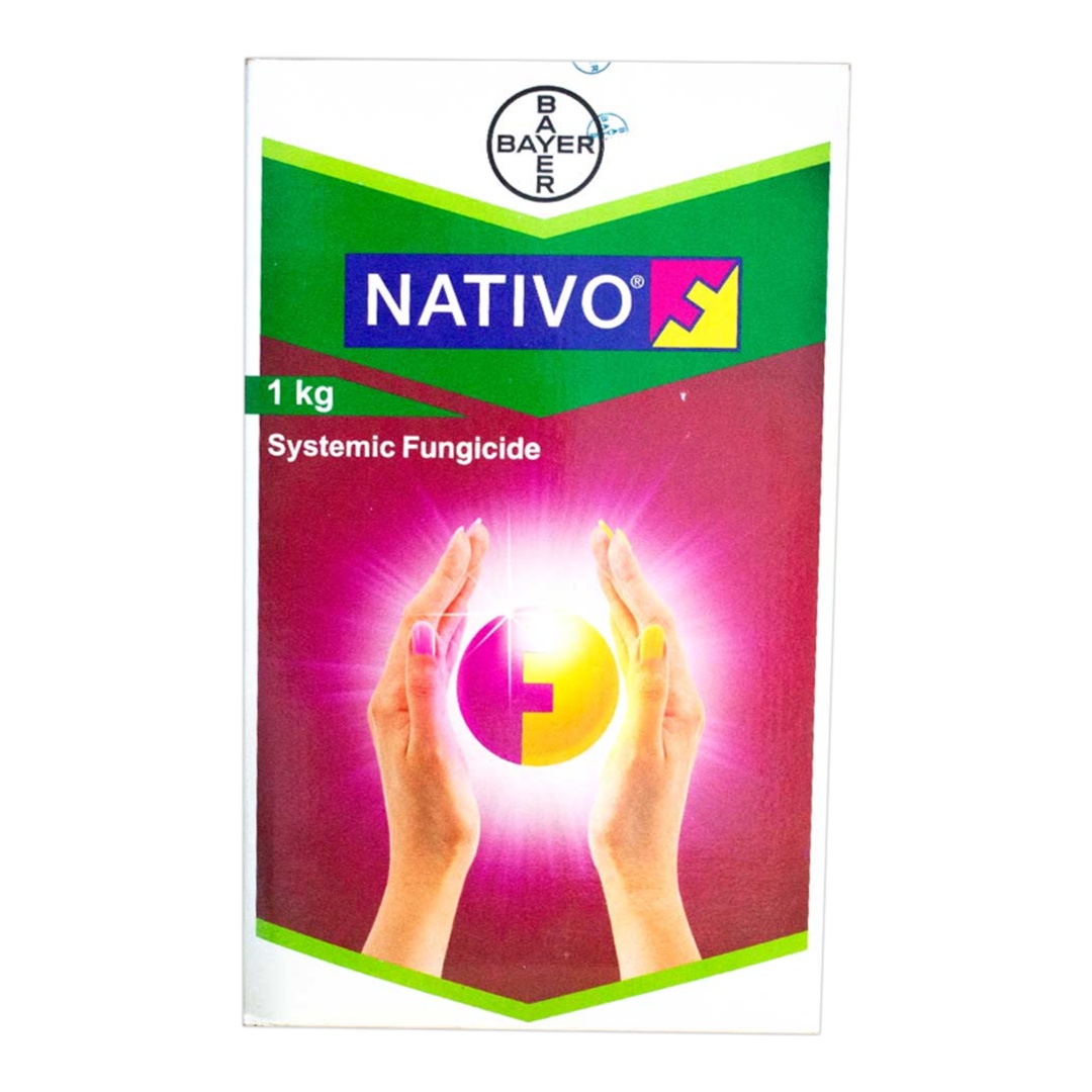 Bayer Nativo Fungicide (Tebuconazole 50%+ Trifloxystrobin 25% WG)