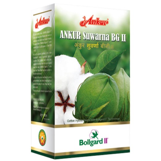 Ankur Suwarna BG2