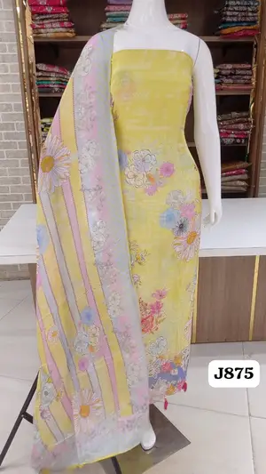  soft silk beautiful print with stylish concepts border 