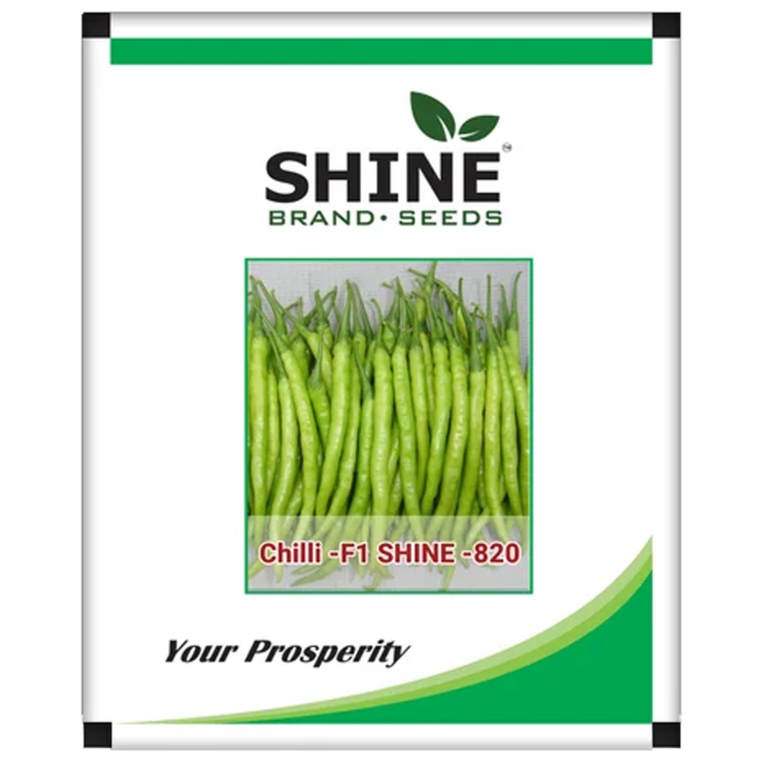 Chilli - Shine 820 F1