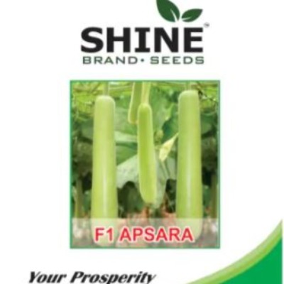 Bottle Gourd - Apsara F1