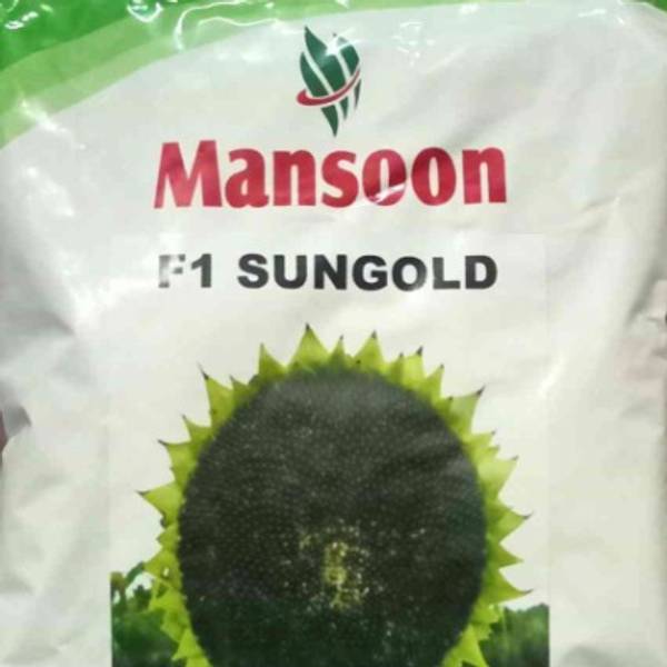 SUNGOLD (F1 MANSOON)