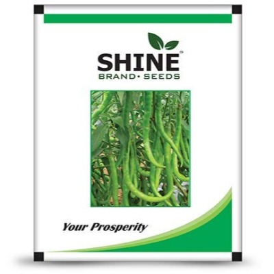 Chilli - Shine 610 F1