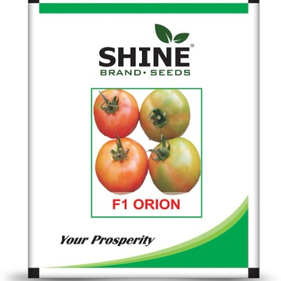 Tomato - Orion F1