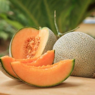 MuskMelon - Sugar Summer
